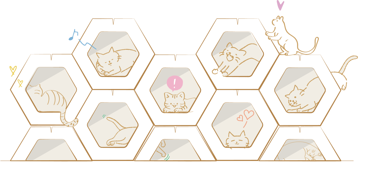 PRODUCTS - AFU Japan