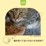 猫食べてはいけないもの