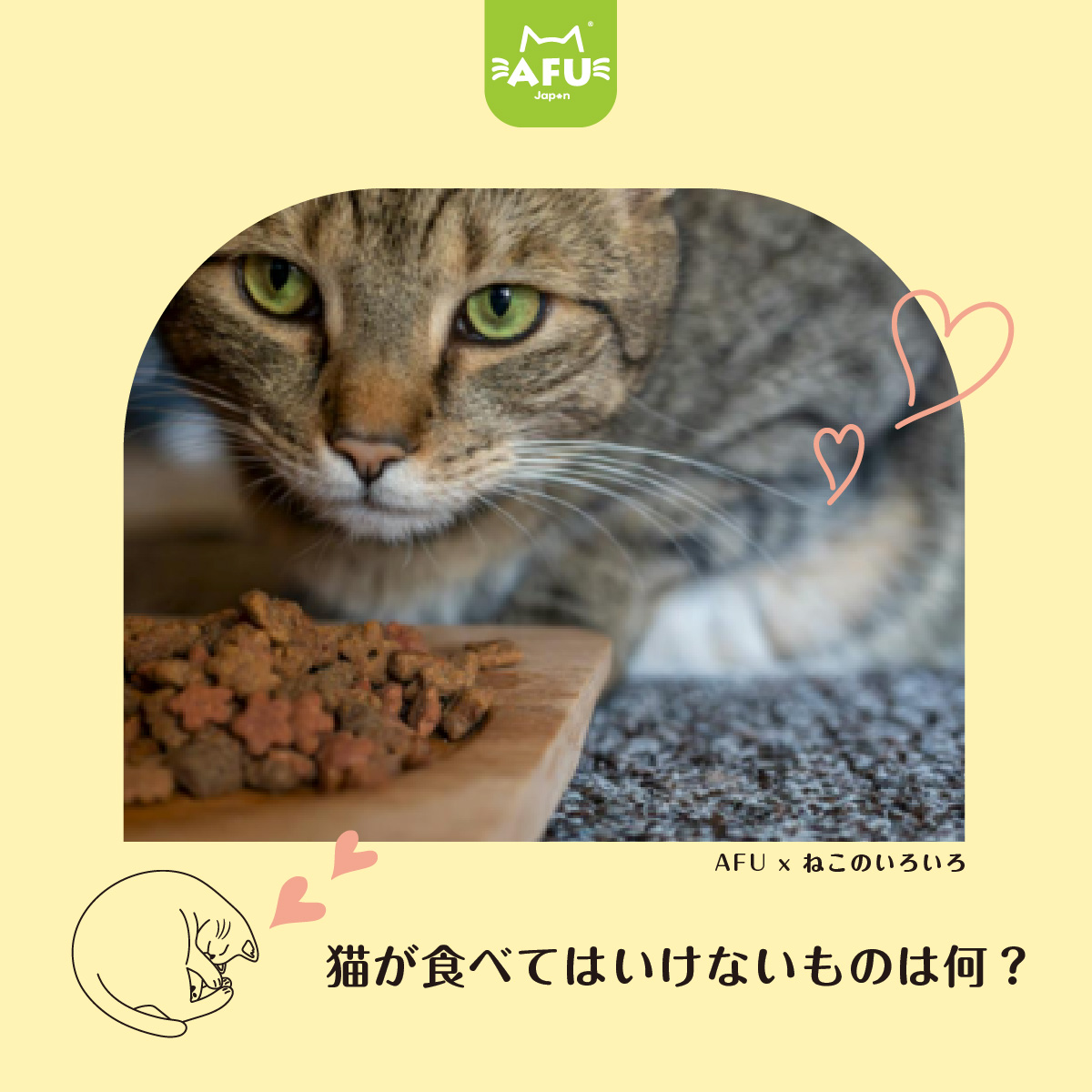 猫食べてはいけないもの