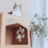 子猫ハウス