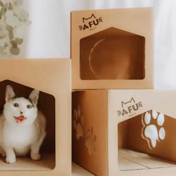 キャットパレス