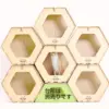 Group 354_02 ハニカムハウス6個入り