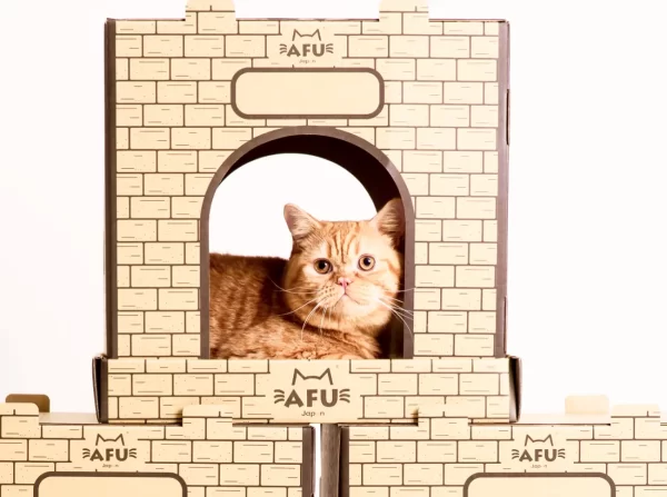 キャッスル - 画像 (4)