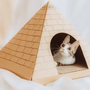 人気のAFUワールドシリーズ[ゴールデンハウス]