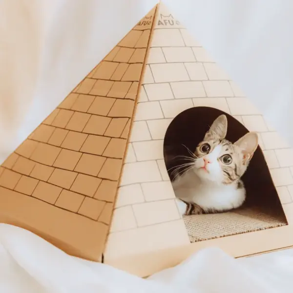 人気のAFUワールドシリーズ[ゴールデンハウス]