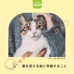 猫を迎える前に準備すること