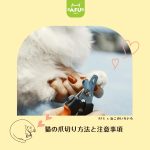 猫の爪切り方法と注意事項