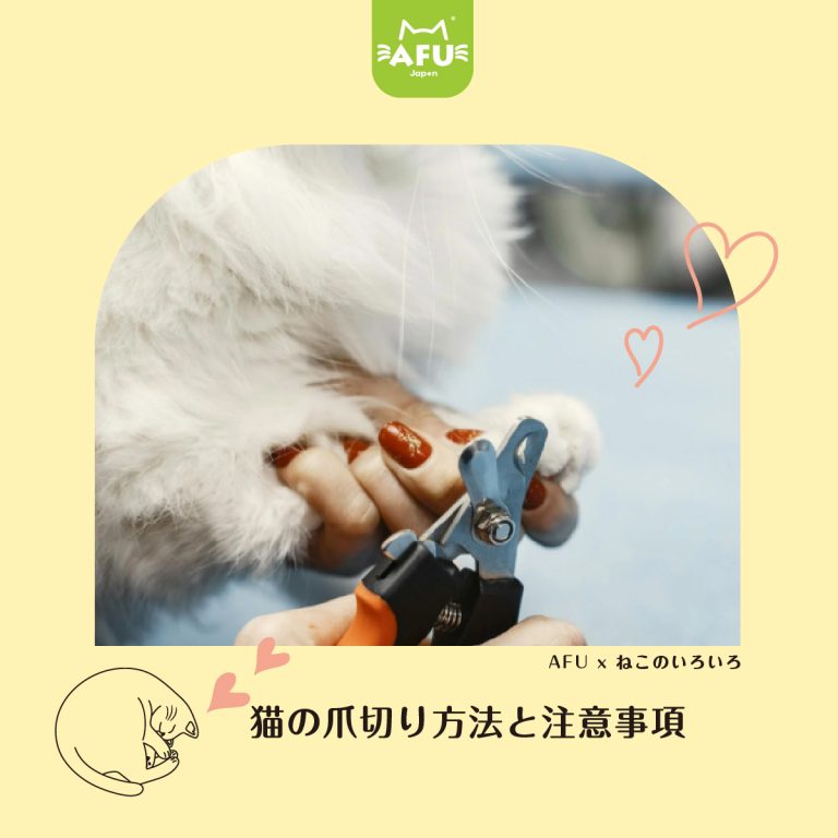 猫の爪切り方法と注意事項