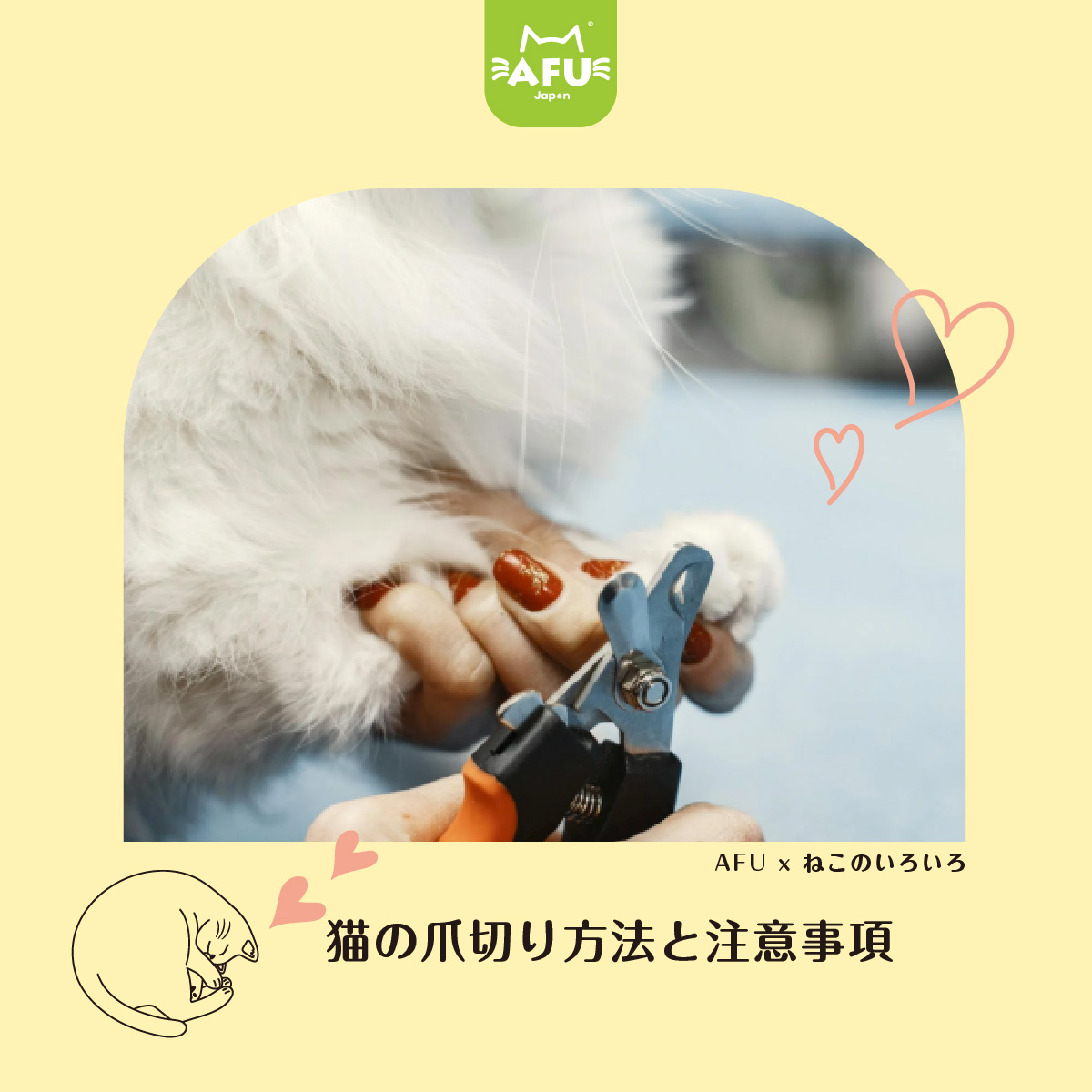 猫の爪切り方法と注意事項