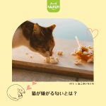 猫が嫌がる匂いとは