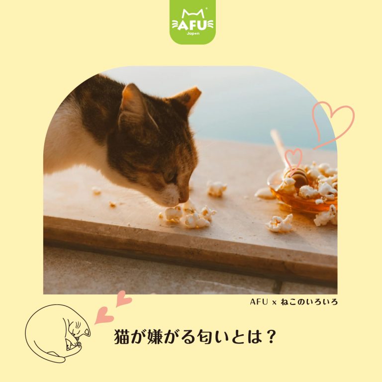 猫が嫌がる匂いとは