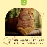 避妊・去勢手術って本当に必要?