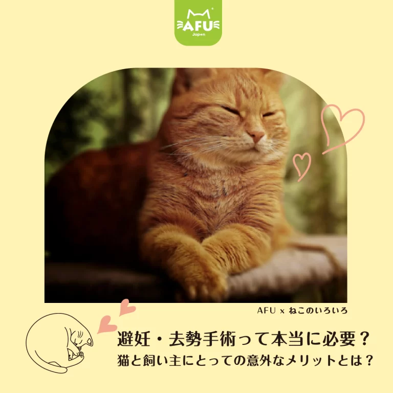 避妊・去勢手術って本当に必要?