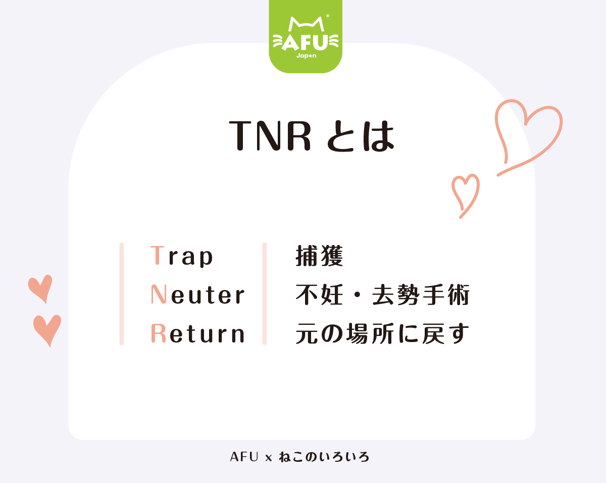TNRとは